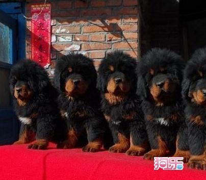 华体会体育hth官方网站