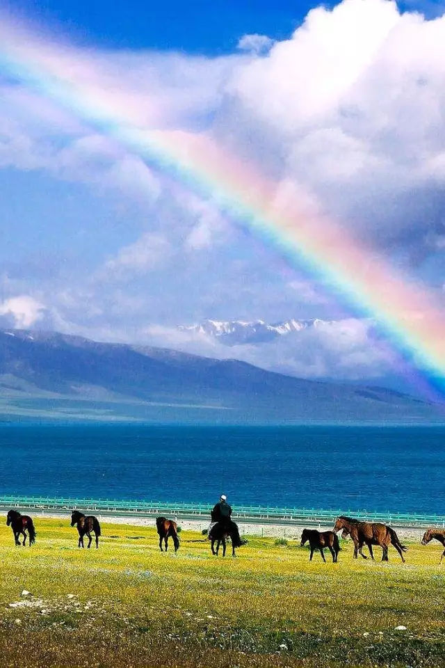 华体会体育hth官方网站