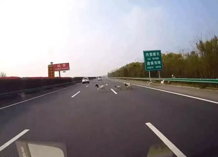 华体会体育hth官方网站