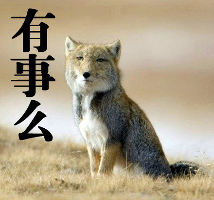 华体会体育hth官方网站