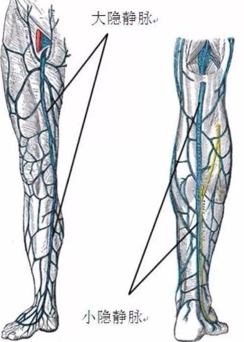 华体会体育hth官方网站