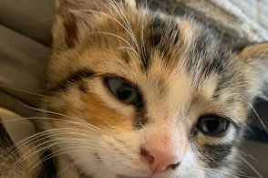 华体会体育hth官方网站