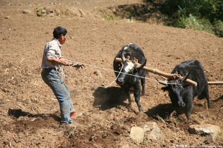 “华体会体育hth官方网站”鲁能锋霸梅开二度让李霄鹏面临幸福烦恼 中超用西塞还是佩莱?(图1) 华体会体育hth官方网站
