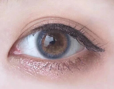 hth官网入口|实木地板品牌 实木地热地板品牌 实木地暖地板德拉克(图1) hth官网入口