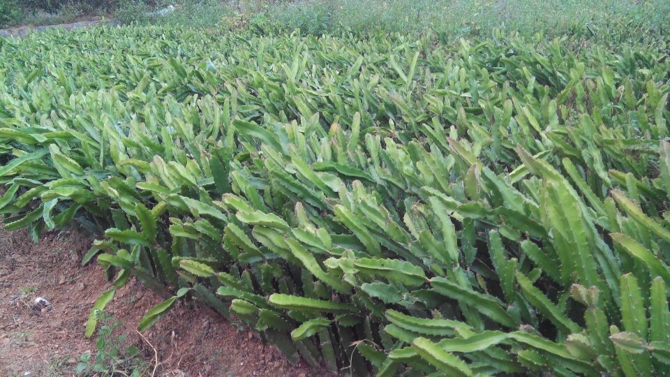 华体会体育hth官方网站