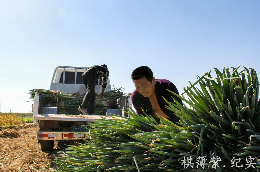 华体会体育hth官方网站