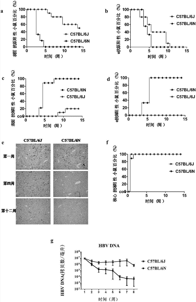 华体会体育hth官方网站