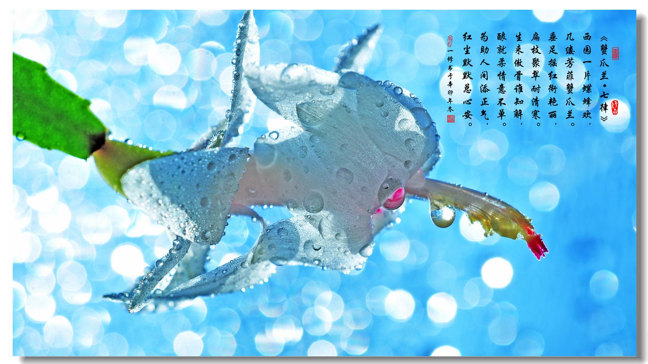 华体会体育hth官方网站