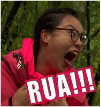 华体会体育hth官方网站