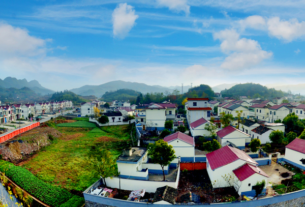 华体会体育hth官方网站