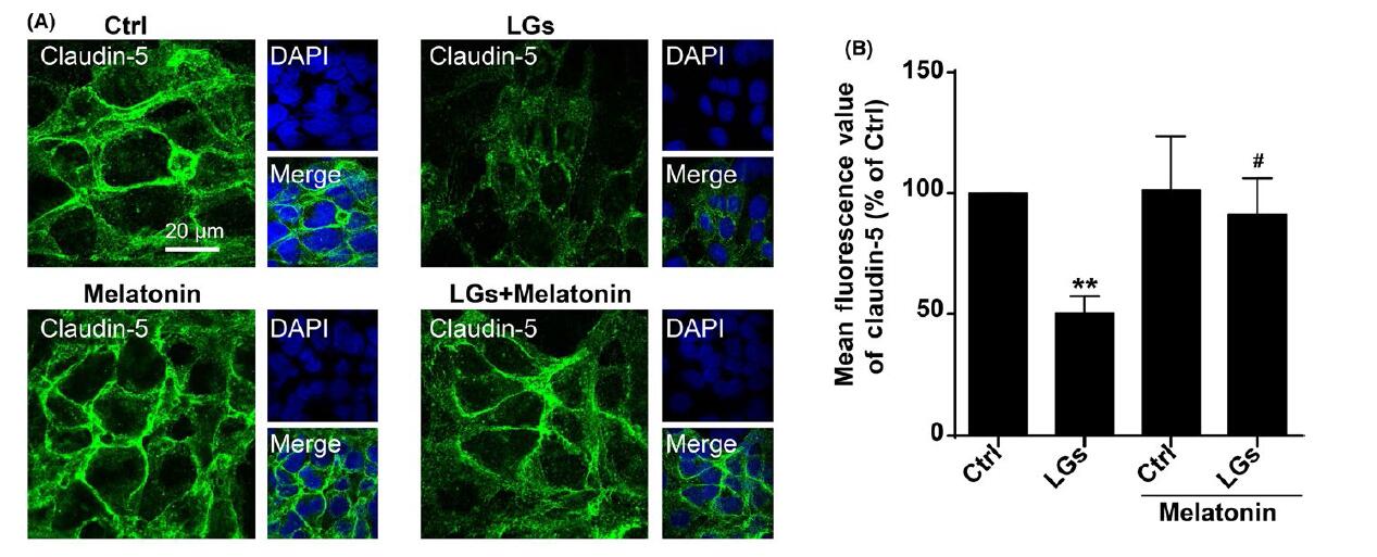 华体会体育hth官方网站