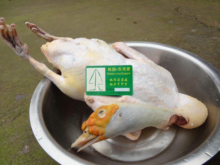 华体会体育hth官方网站