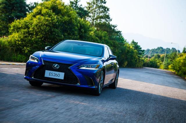 广宁第二届竹子节引资36.8亿元:华体会体育hth官方网站(图2) hth官网入口