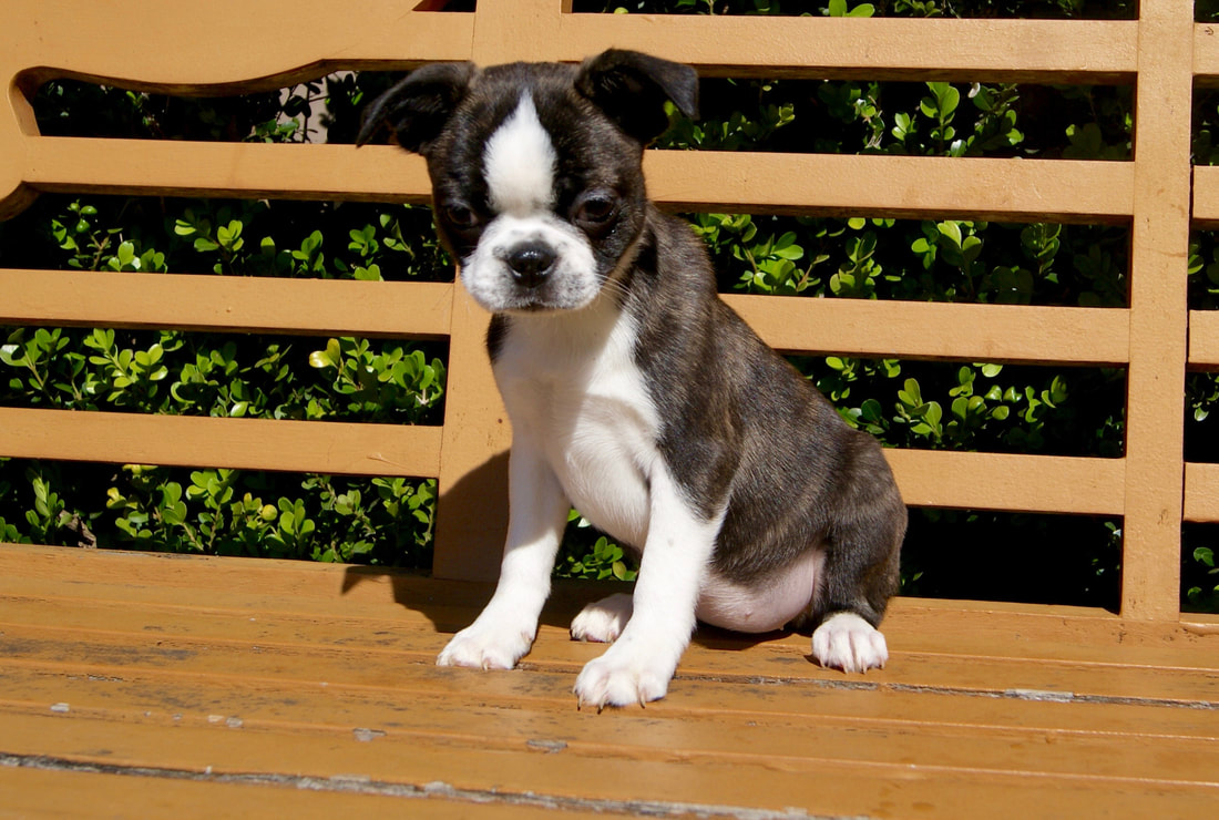 华体会体育hth官方网站