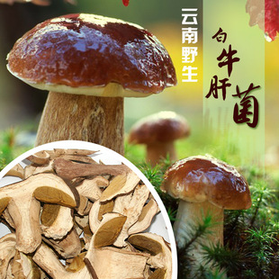 华体会体育hth官方网站