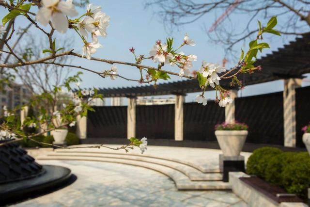 华体会体育hth官方网站-非洲原木进货力度加大(图3) 华体会体育hth官方网站